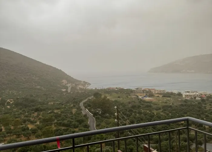 Onar Mani 3* Néon Oítilon